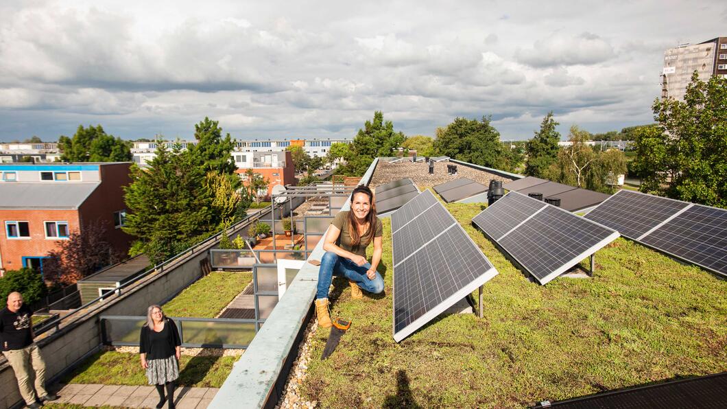 Zonnepanelen op daken