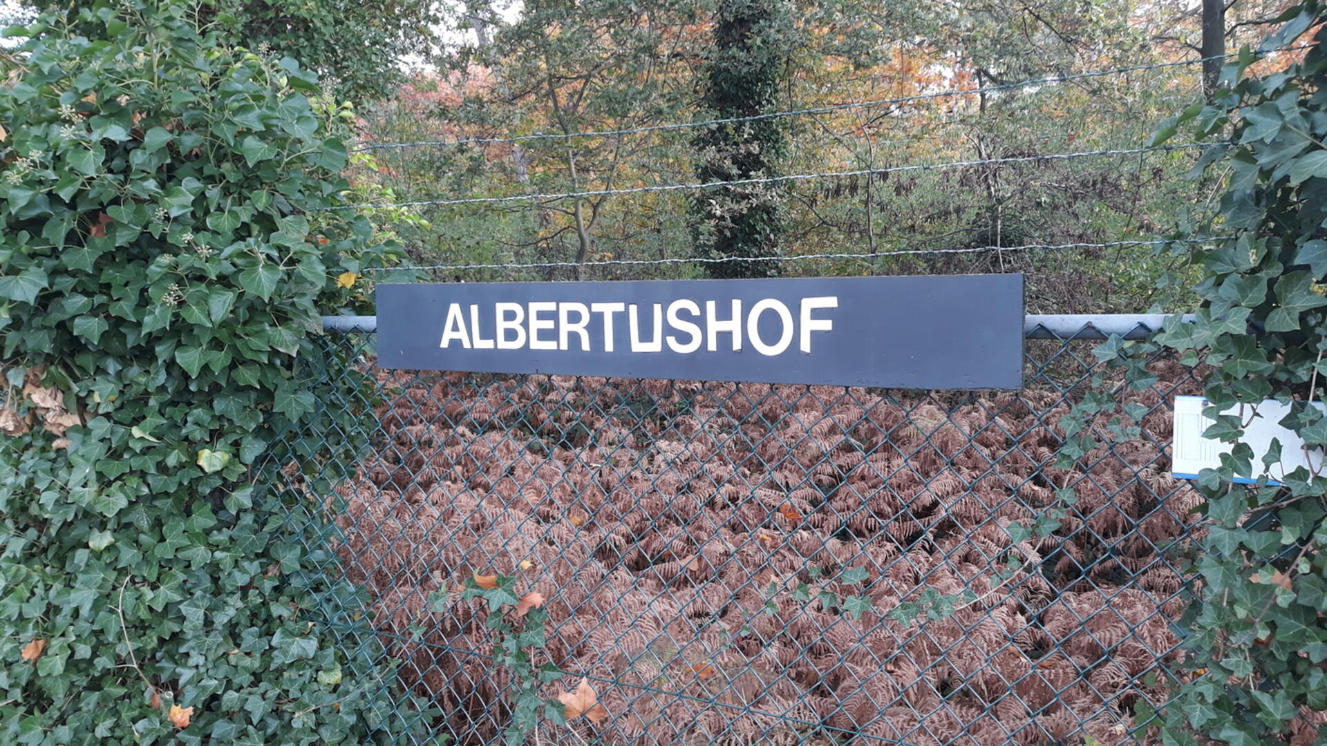 Albertushof