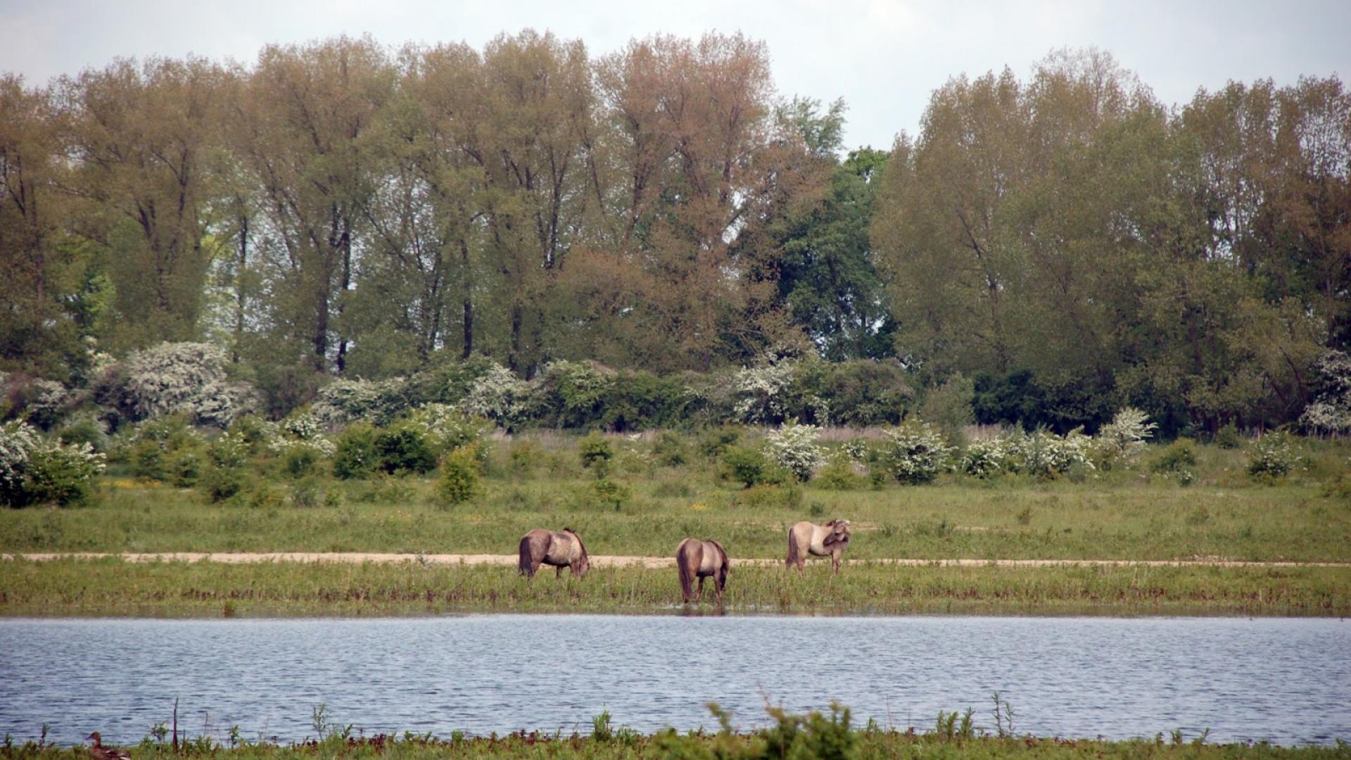 dsc_8888.jpg