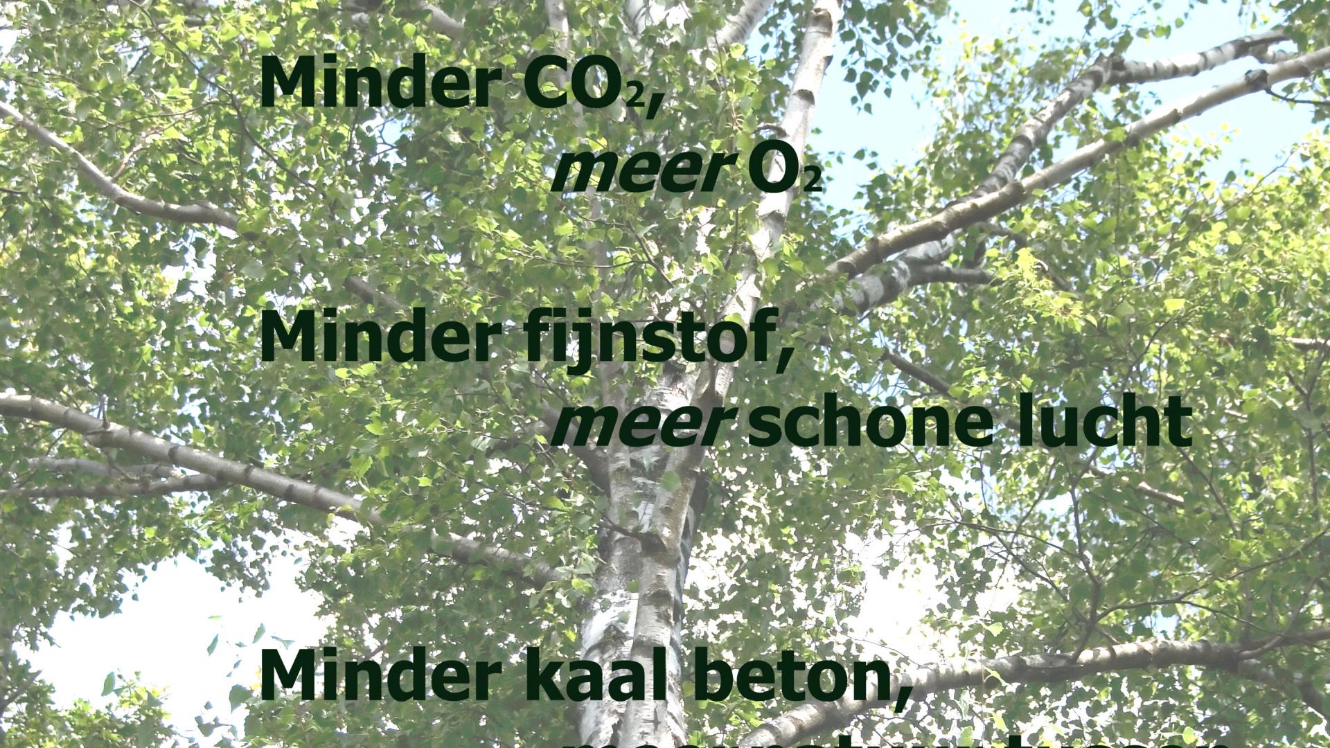 grlinks.jpg